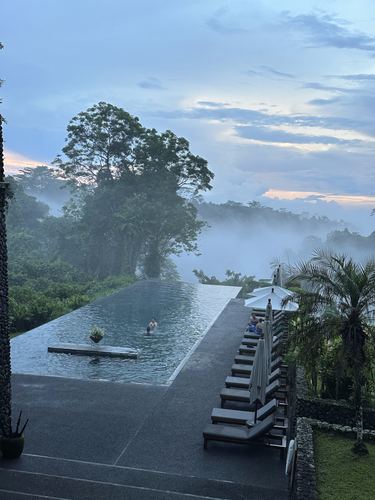 A misty infinity pool lined with palm trees in the early morning