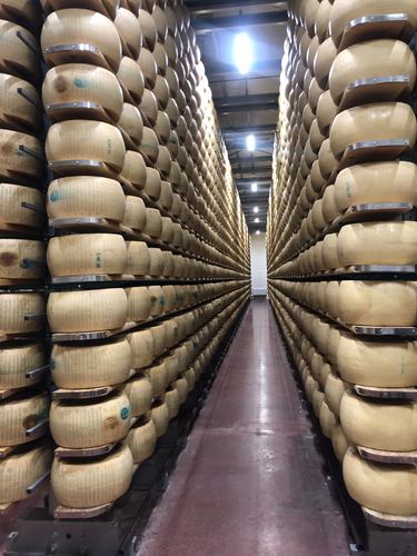 An aisle of aging cheese wheels stacked floor to ceiling