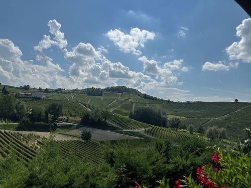 The beautiful landscape.
