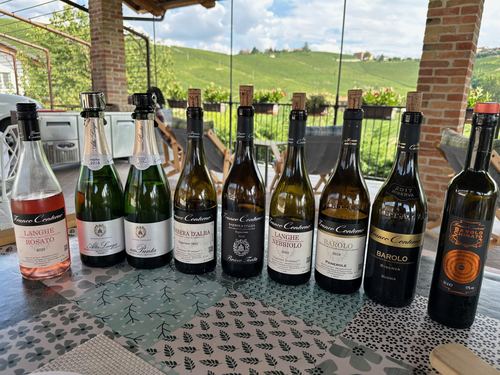 All the wines we tried.