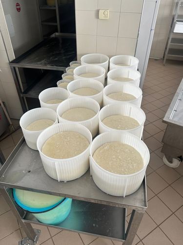 The cheese she made yesterday.