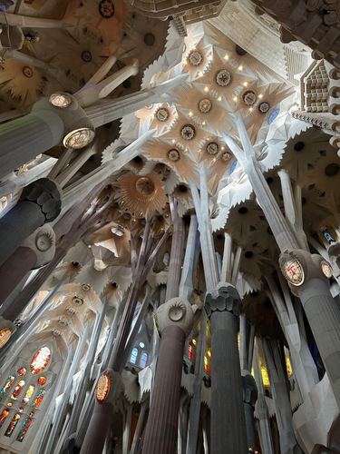 Looking up at the branching columns and ceiling inside La Sagrada Familia