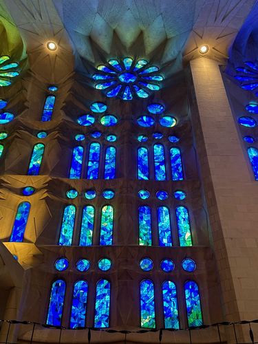 Cool blue stained glass inside La Sagrada Familia