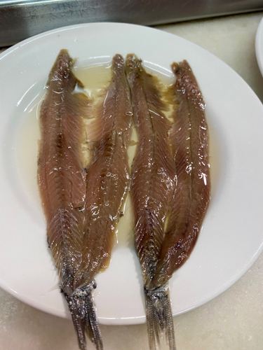 Photo from the Barcelona guide: El Xampanyet